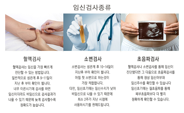 임신 검사 종류