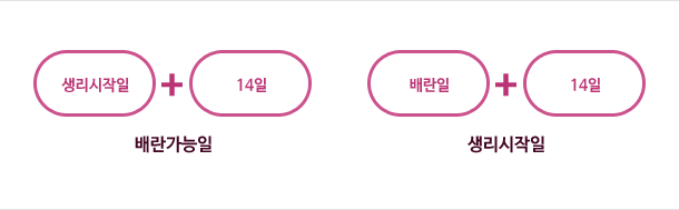 배란가능일(생리시작일+14일), 생리시작일(배란일+14일)